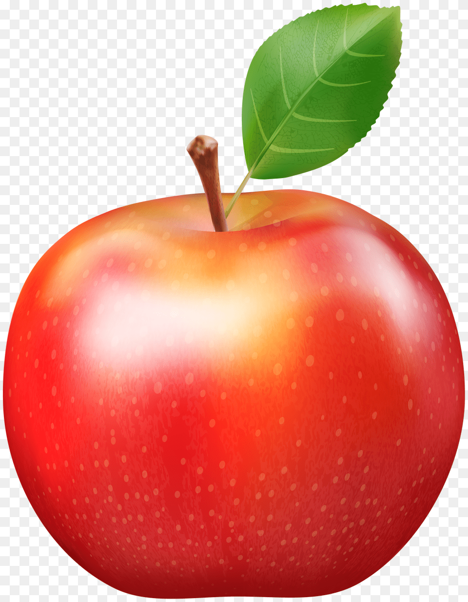 Fresh Red Apple Clip Art Png