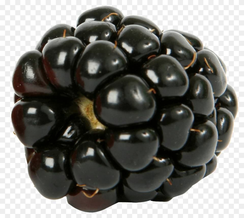 Fresh Single Blackberry Berry, Food, Fruit, Plant Png Image