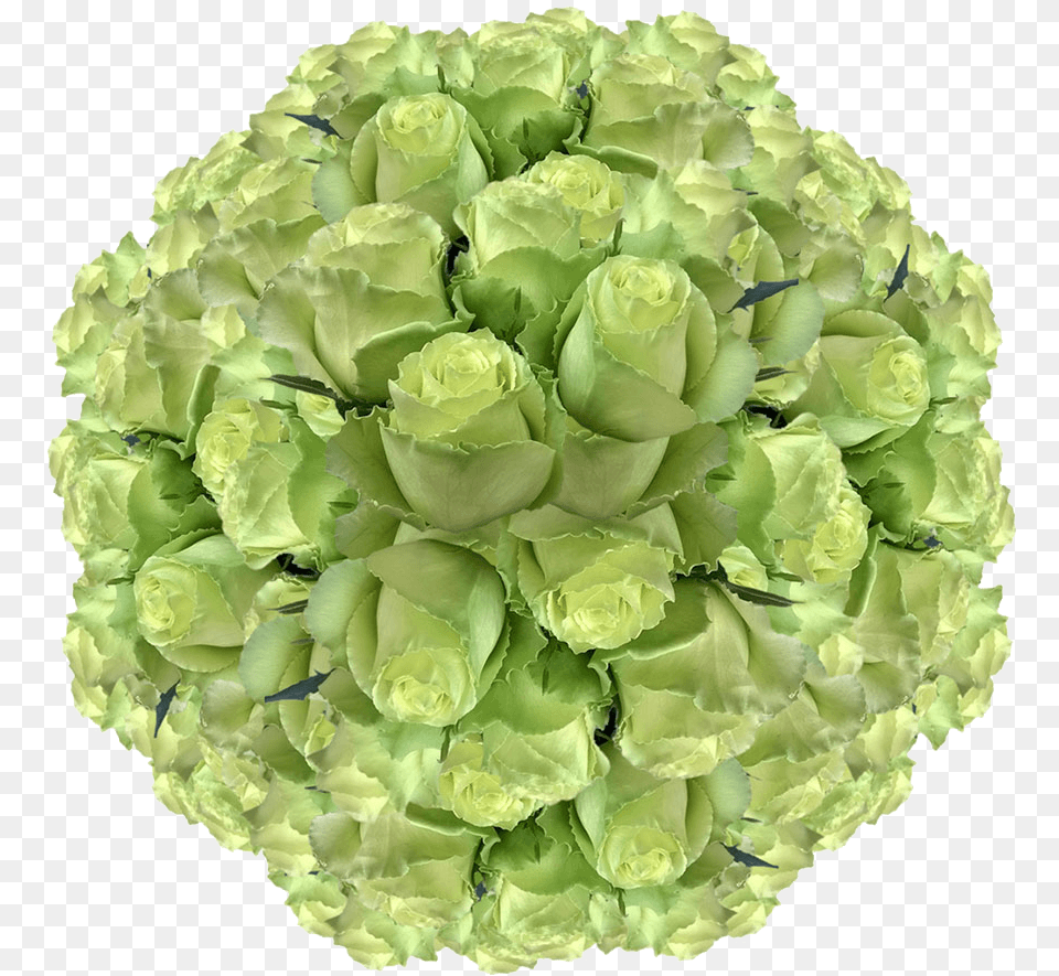 Fresh Solid Green Roses For Sale Artificial Flower, Art, Floral Design, Graphics, Pattern Png Image
