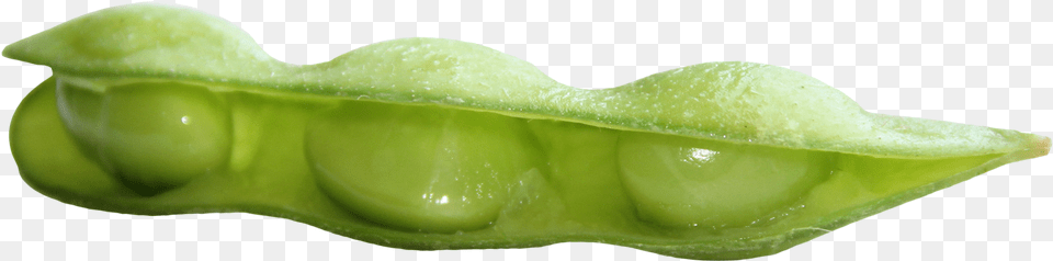 Fresh Soybean Image Soy Bean Green, Food, Plant, Produce, Pea Png