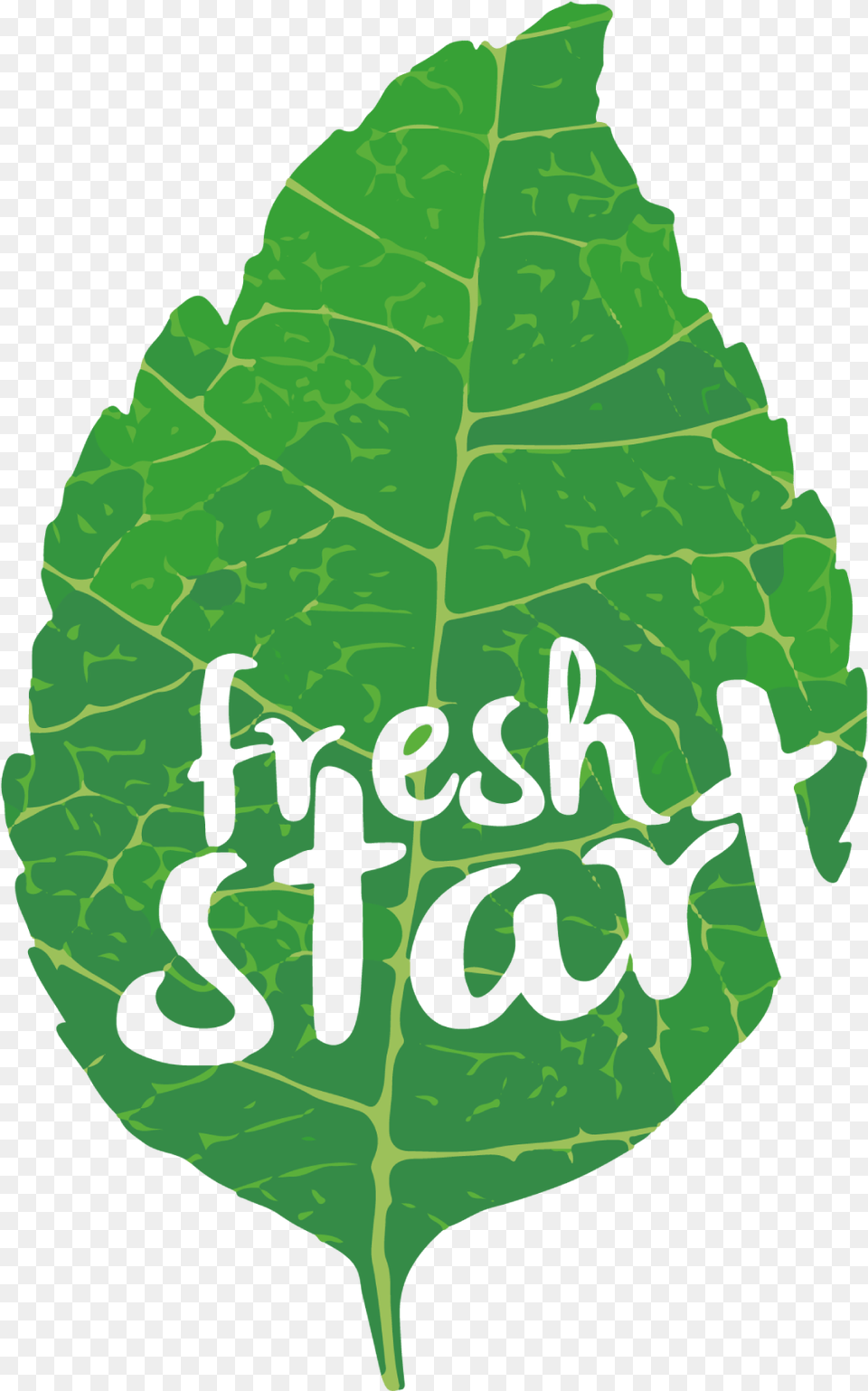 Fresh Start, Leaf, Plant, Person Free Png Download