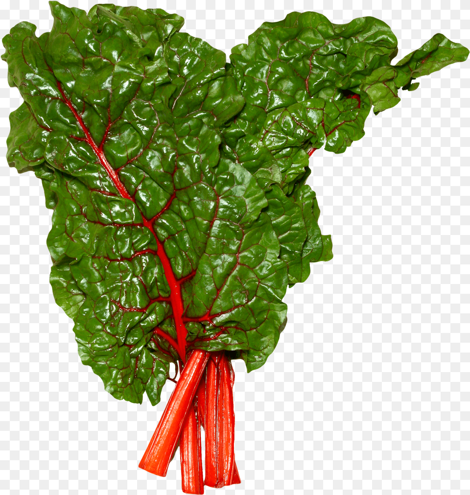Fresh Swiss Chard Image For Swiss Chard Clipart, Food, Plant, Produce, Rhubarb Free Png Download