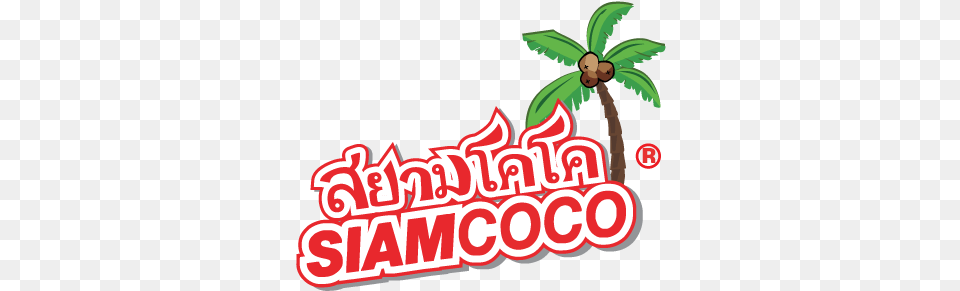 Fresh Thai Coconut Water Singapore Siam Coconut Siam Coconut Logo, Plant, Tree, Palm Tree, Vegetation Free Transparent Png