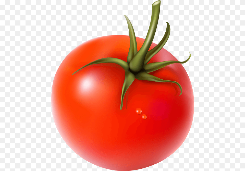 Fresh Tomato Hd, Food, Plant, Produce, Vegetable Free Png