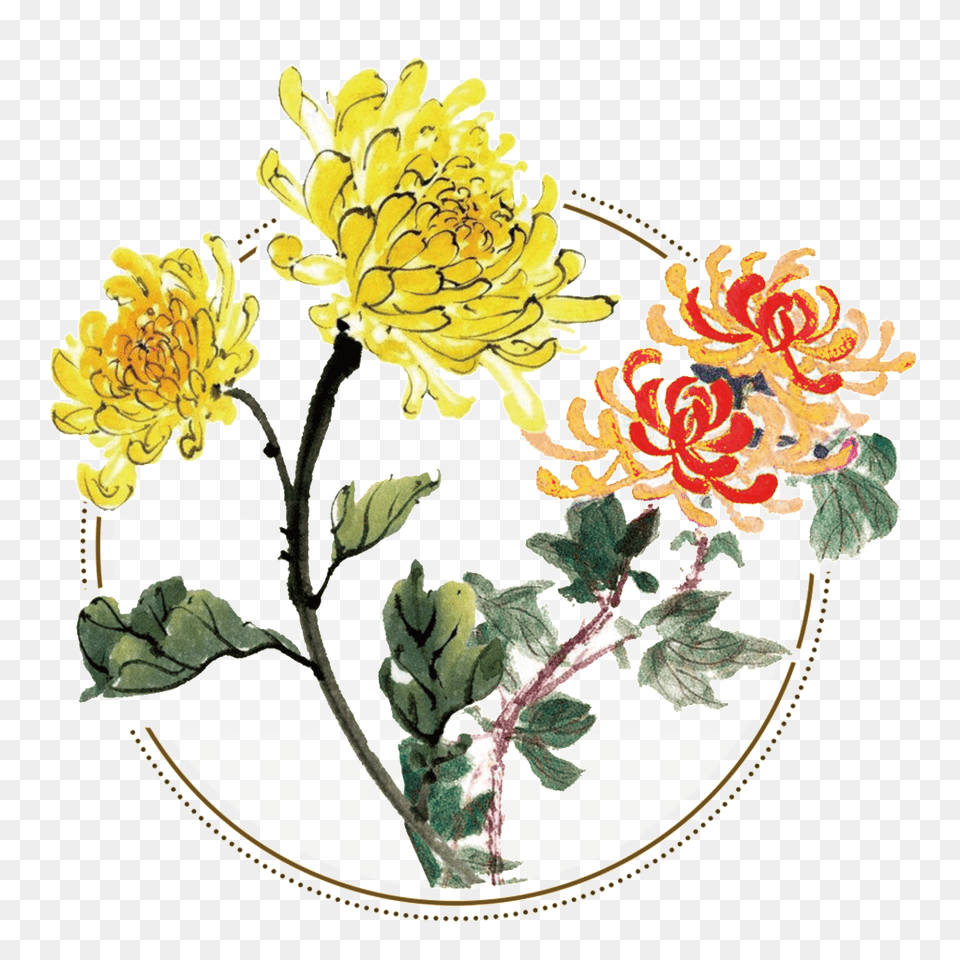 Fresh Two Tone Hand Painted Chrysanthemum Decorative Elements, Art, Graphics, Pattern, Flower Arrangement Png