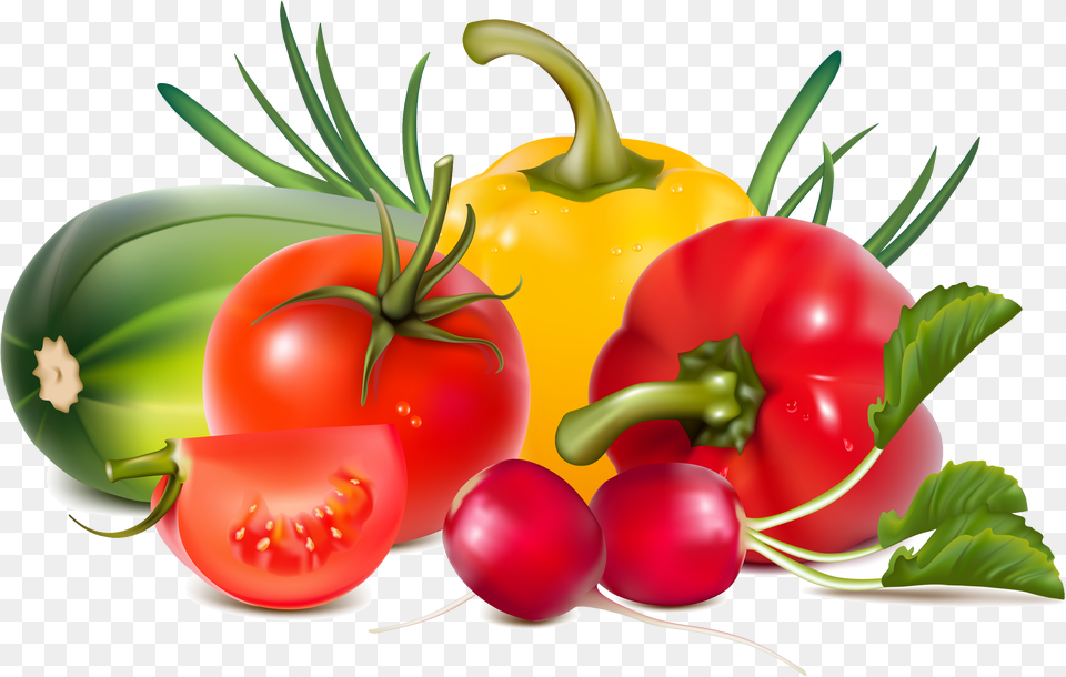 Fresh Vegetables Illustration, Food, Produce, Plant, Tomato Free Transparent Png