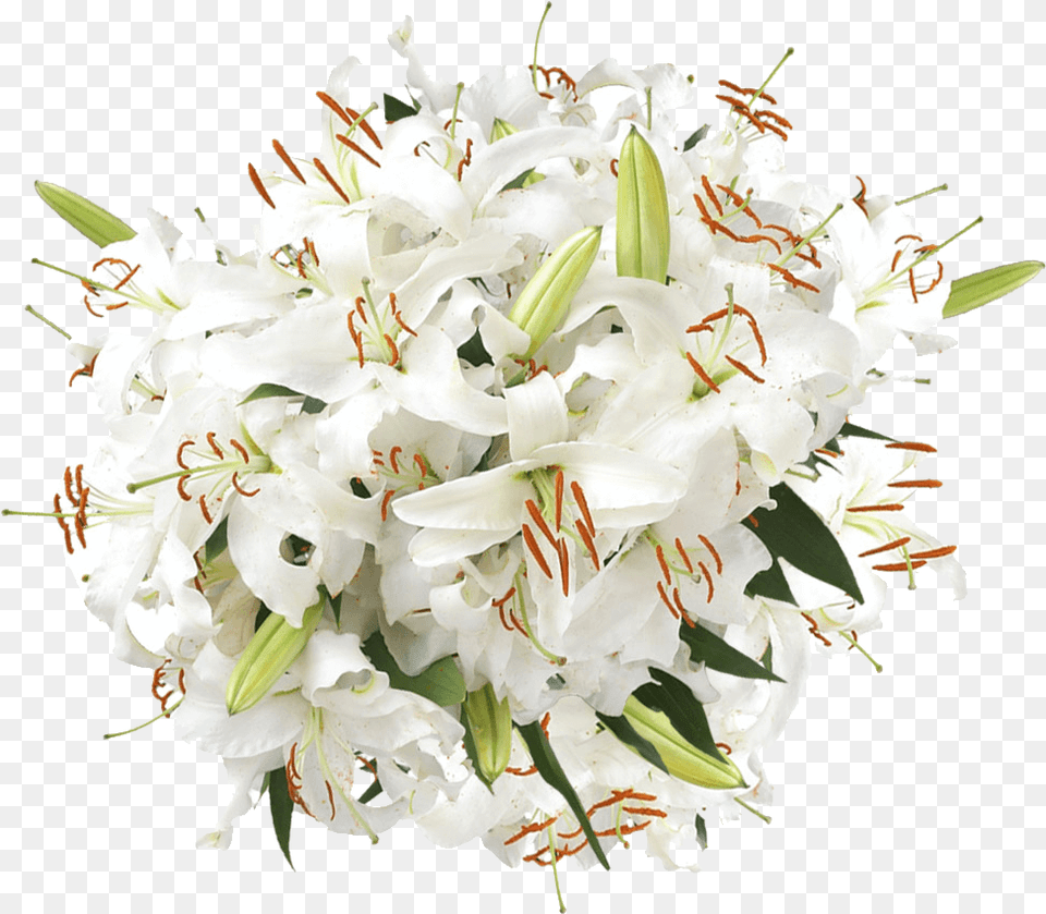 Fresh White Lily Flowers Shipping Bouquet, Flower, Flower Arrangement, Flower Bouquet, Plant Free Transparent Png