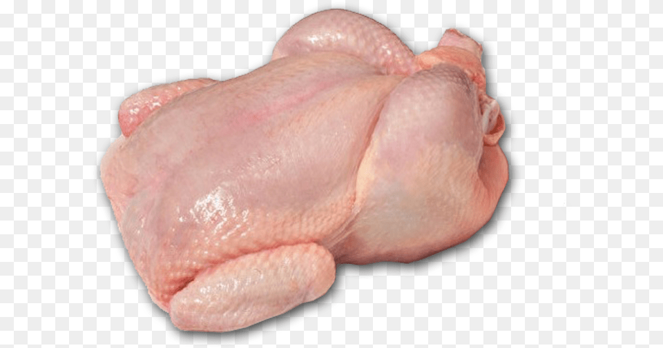Fresh Whole Chicken, Baby, Person, Animal, Bird Png