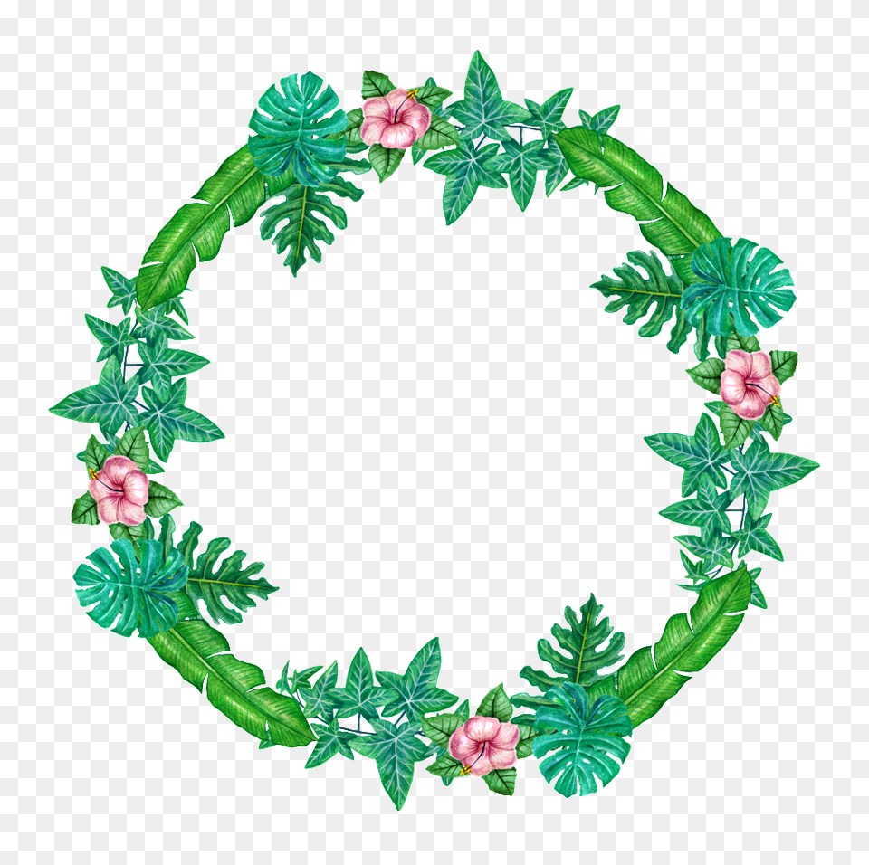 Fresh Wind Hand Painted Flower Weaving Ring Transparent, Plant, Green, Oval, Wreath Free Png Download