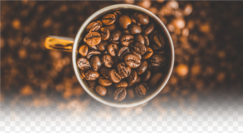 Freshly Roasted Coffee Coffee Quality, Beverage, Coffee Beans Free Png Download
