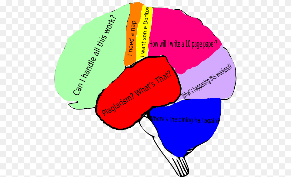 Freshman Fear Brain Clip Art, Chart, Plot, Balloon, Dynamite Free Png