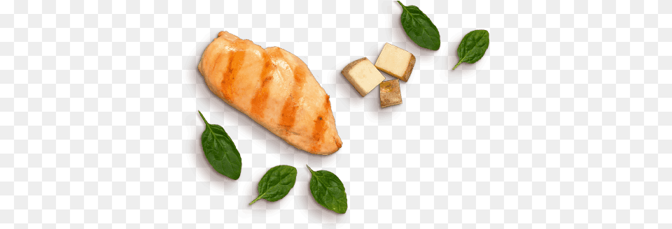 Freshpet Select Grain Chicken U0026 Spinach Dog Food Fish Slice, Food Presentation, Lunch, Meal, Leaf Free Png Download