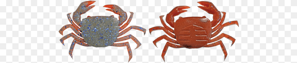 Freshwater Crab, Animal, Food, Invertebrate, Sea Life Png Image