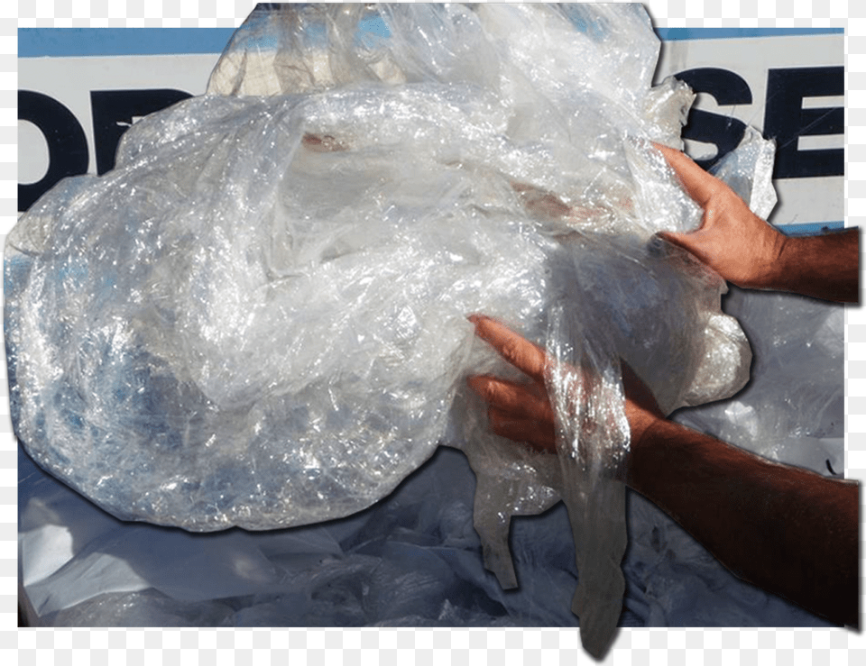 Freshwater Whipray, Bag, Plastic, Plastic Bag, Body Part Free Transparent Png