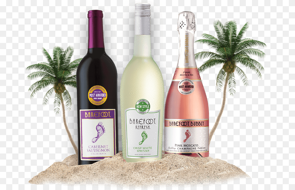 Friday Again And This Is Another Episode Of Spirit Transparent Wine Bottle Barefoot, Tree, Plant, Palm Tree, Alcohol Png