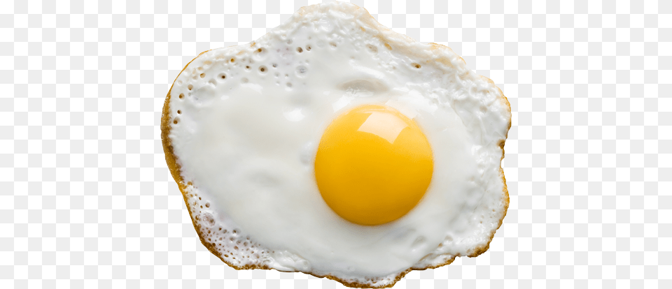 Fried Egg, Food, Fried Egg Free Png