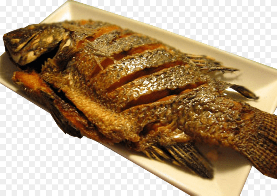 Fried Fish Fried Fish, Food, Food Presentation, Animal, Sea Life Free Png