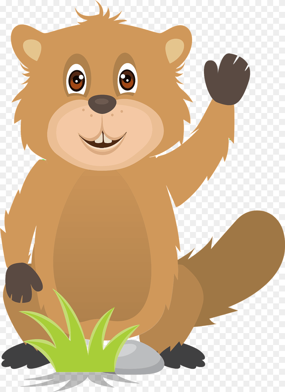 Friendly Beaver Clipart, Animal, Bear, Mammal, Wildlife Png