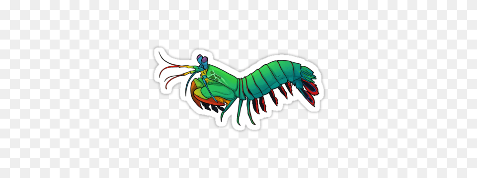 Friendly Mantis Shrimp Sticker, Animal, Food, Invertebrate, Sea Life Free Transparent Png