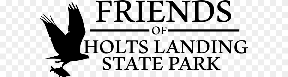 Friends Of Holts Landing State Park Logo Pigeons And Doves, Silhouette, Lighting Free Transparent Png