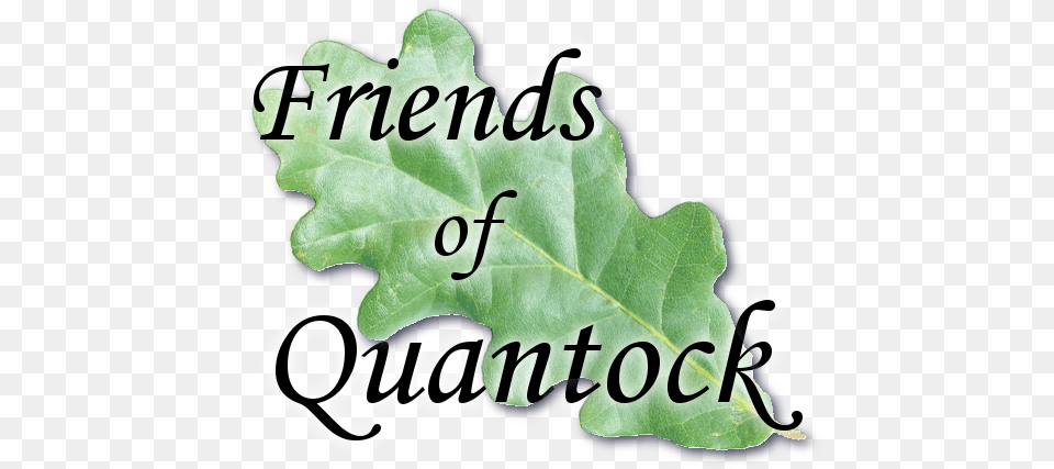 Friends Of Quantock Logo Natural Foods, Leaf, Plant, Tree, Oak Free Transparent Png