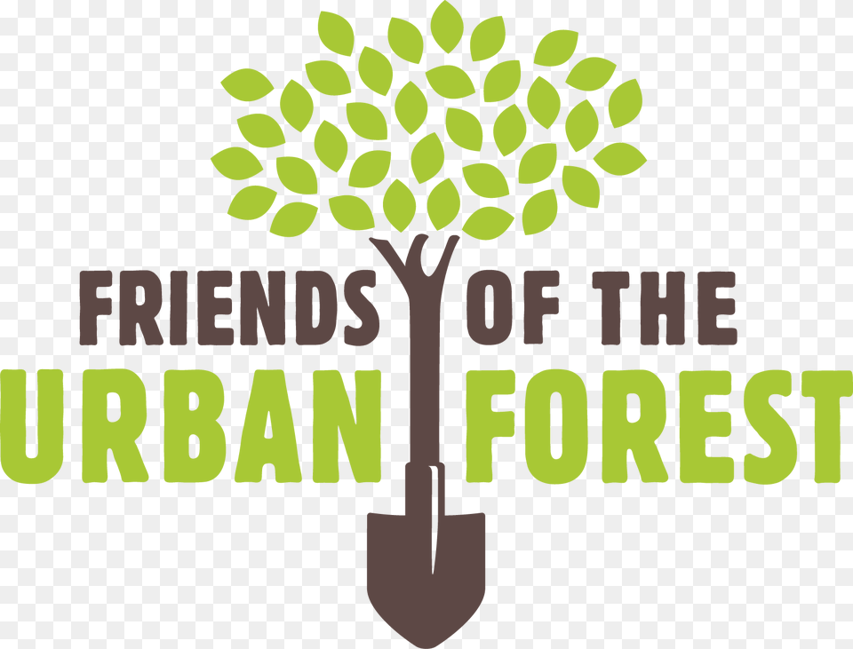 Friends Of The Urban Forest, Green, Vegetation, Plant, Tree Free Png Download