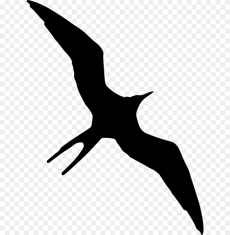 Frigate Bird Clip Art, Animal, Flying, Silhouette, Fish Png