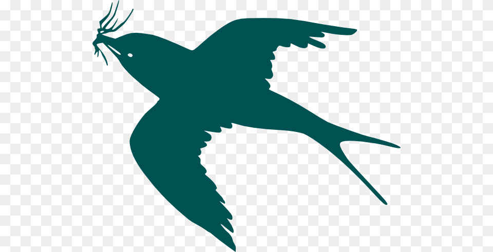 Frigate Bird Tattoo Group With Items, Animal, Blackbird, Fish, Sea Life Png Image