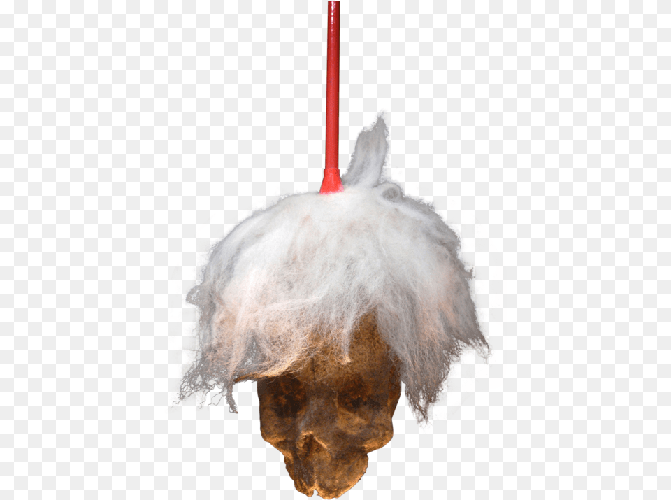 Fright Wig After Andy Warhol Paul Hazelton Illustration, Accessories, Chandelier, Lamp, Face Png