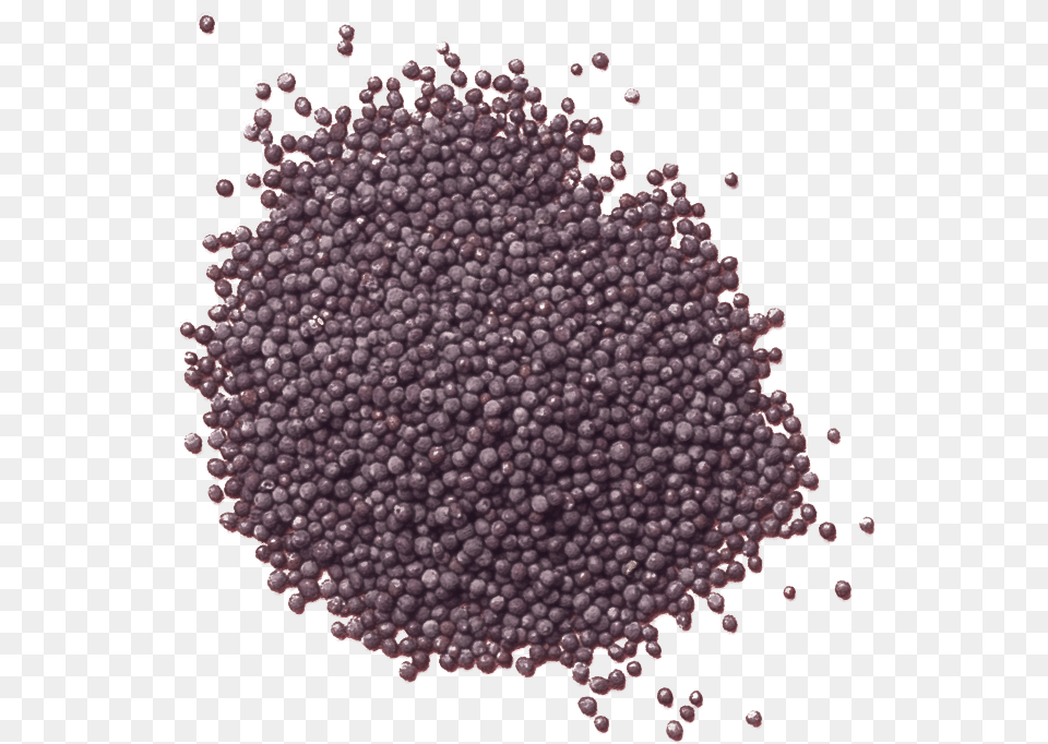 Frijoles Negros, Food, Mustard, Plant Png