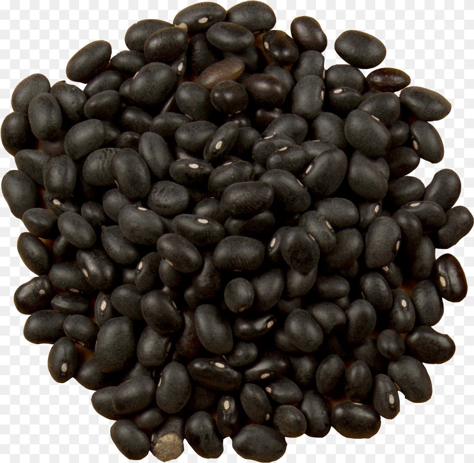 Frijoles Negros, Bean, Food, Plant, Produce Free Transparent Png