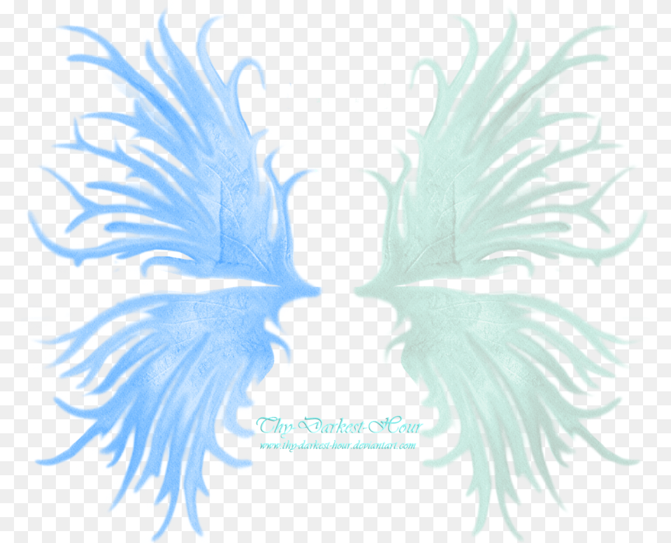 Frilled Fairy Wings 02 By Thy Darkest Hour Portable Network Graphics, Accessories, Person, Jewelry Png Image