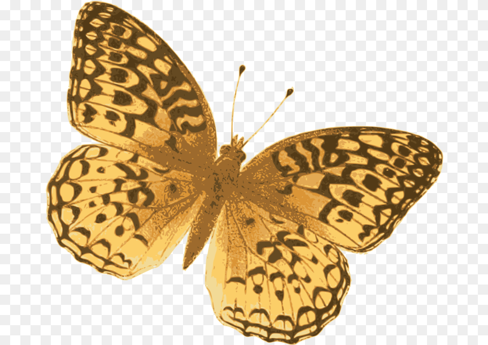 Fritillar Silver Washed Fritillary, Animal, Butterfly, Insect, Invertebrate Png