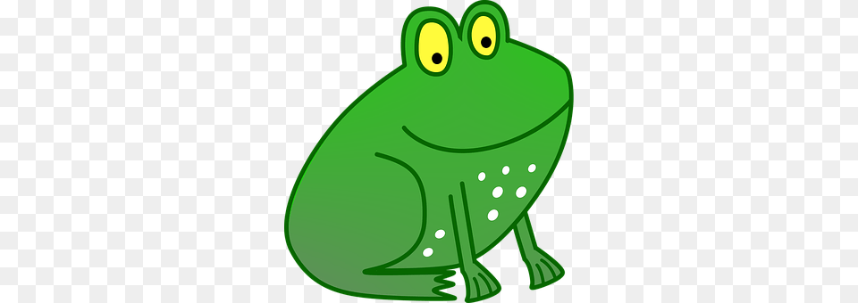 Frog Green, Amphibian, Animal, Wildlife Png