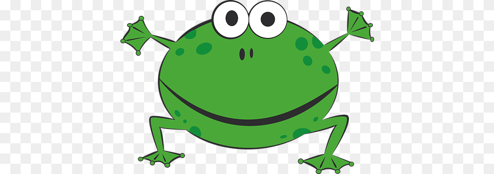 Frog Green, Amphibian, Animal, Wildlife Free Png Download