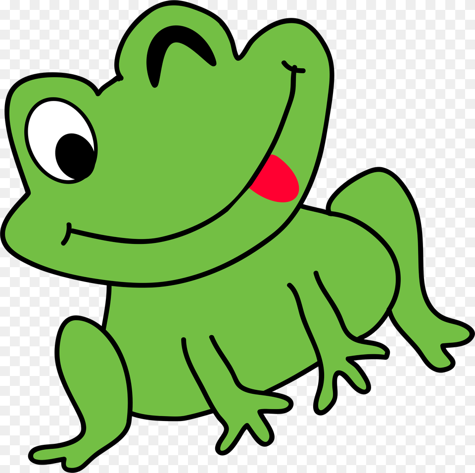 Frog, Amphibian, Animal, Wildlife, Bear Png