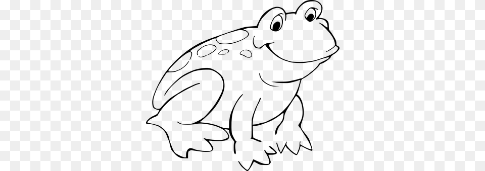 Frog Gray Free Png Download