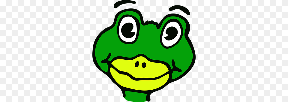 Frog Green, Amphibian, Animal, Wildlife Free Png