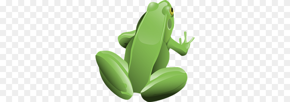 Frog Amphibian, Wildlife, Animal, Tree Frog Png