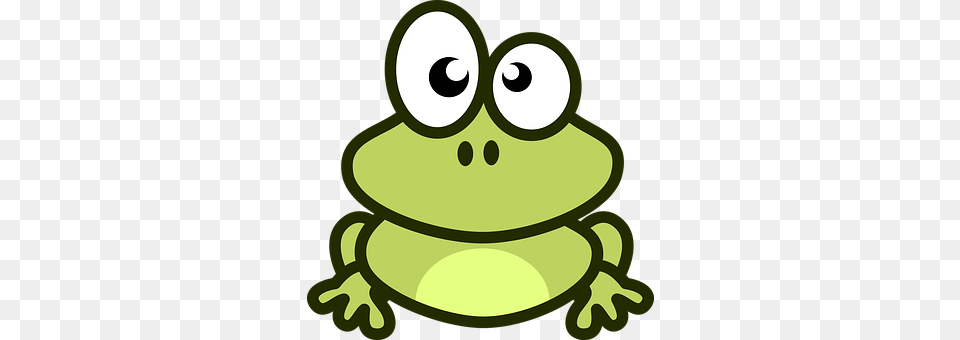 Frog Amphibian, Animal, Wildlife, Bear Png