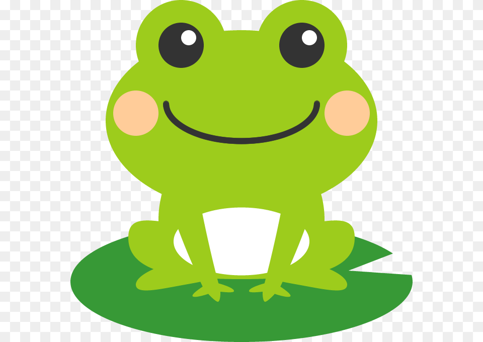 Frog, Amphibian, Animal, Green, Wildlife Free Png