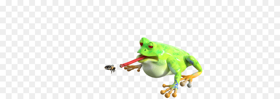 Frog Amphibian, Animal, Wildlife, Dinosaur Png Image