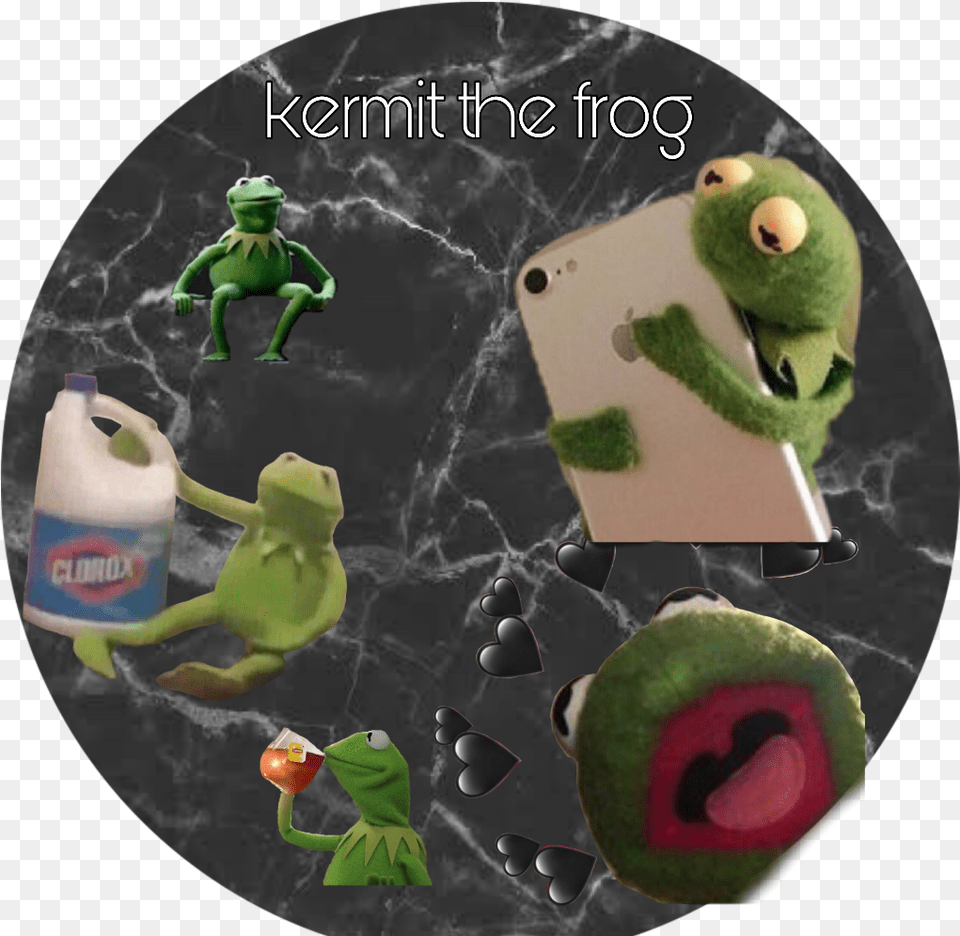 Frog Png Image