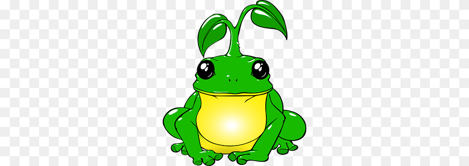 Frog Green, Amphibian, Animal, Wildlife Free Transparent Png