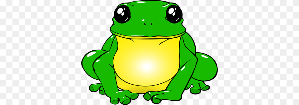 Frog Amphibian, Animal, Green, Wildlife Png