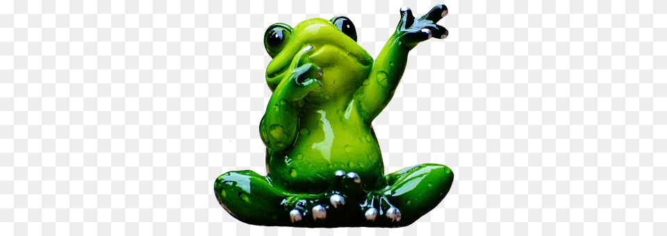 Frog Amphibian, Animal, Wildlife, Tree Frog Png