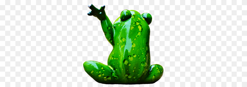 Frog Amphibian, Animal, Wildlife, Tree Frog Free Png Download