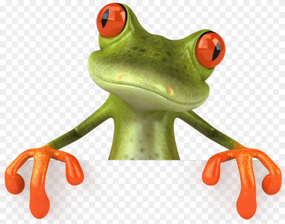 Frog, Amphibian, Animal, Wildlife, Dinosaur Free Transparent Png