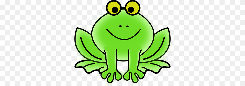 Frog Green, Animal, Wildlife Free Png