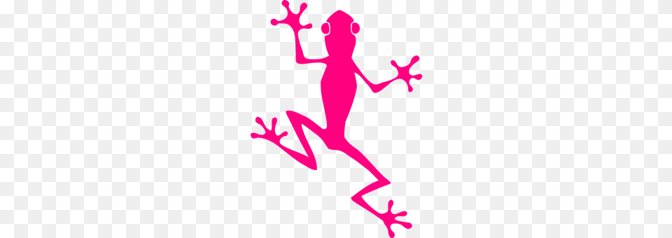 Frog Amphibian, Animal, Wildlife, Gecko Png